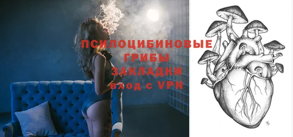 2c-b Лихославль