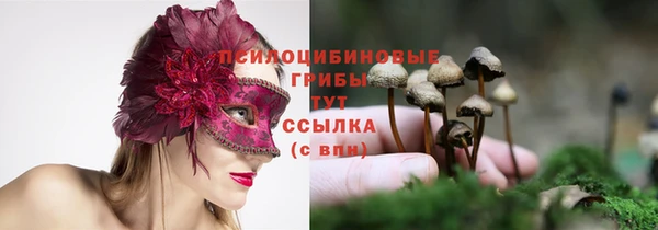 2c-b Лихославль