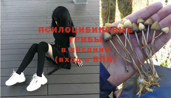 винт Покачи