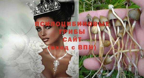 2c-b Лихославль