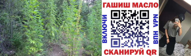 наркотики  Чадан  Дистиллят ТГК вейп с тгк 