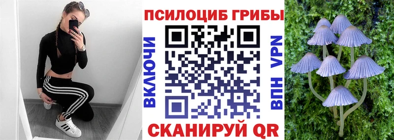 Псилоцибиновые грибы MAGIC MUSHROOMS  дарнет шоп  Чадан 
